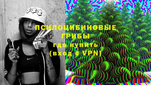 прущая мука Верея